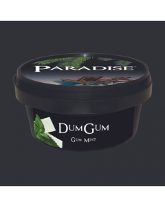 Paradise Steam Stones – Dum Gum (100g)