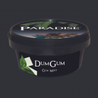 Paradise Steam Stones – Dum Gum (100g)